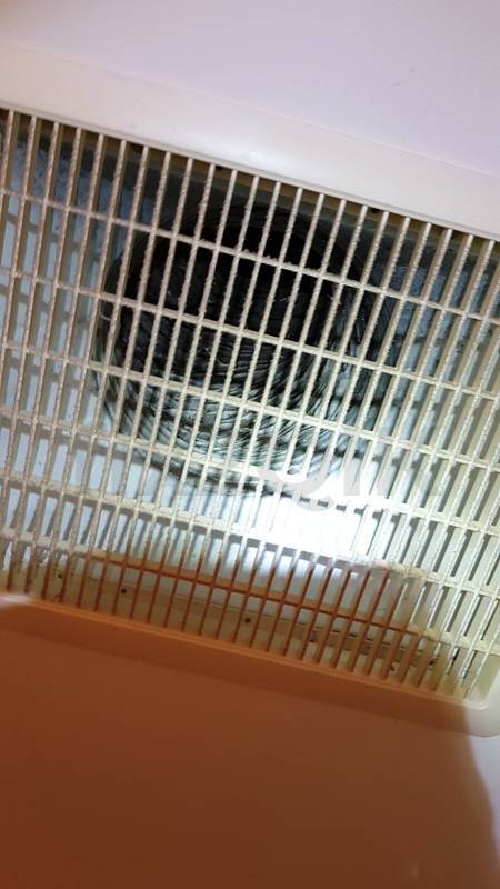 Climate Technologies heater filter ceiling intake air return